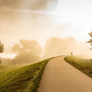 road, field, fog-5766371.jpg
