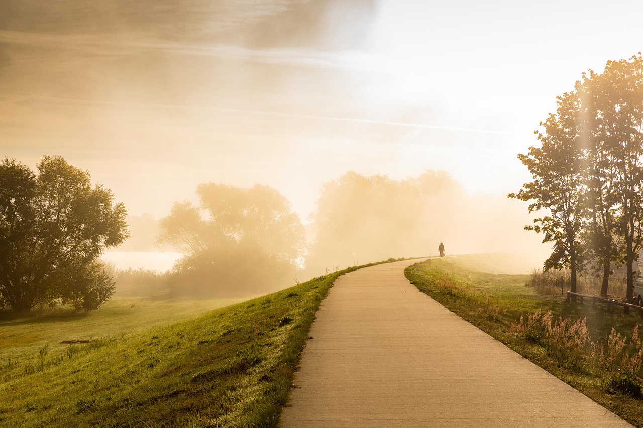 road-field-fog-5766371 road, field, fog-5766371.jpg